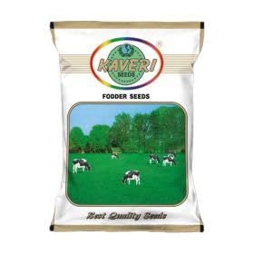 Barseem 1kg - Kaveri seeds