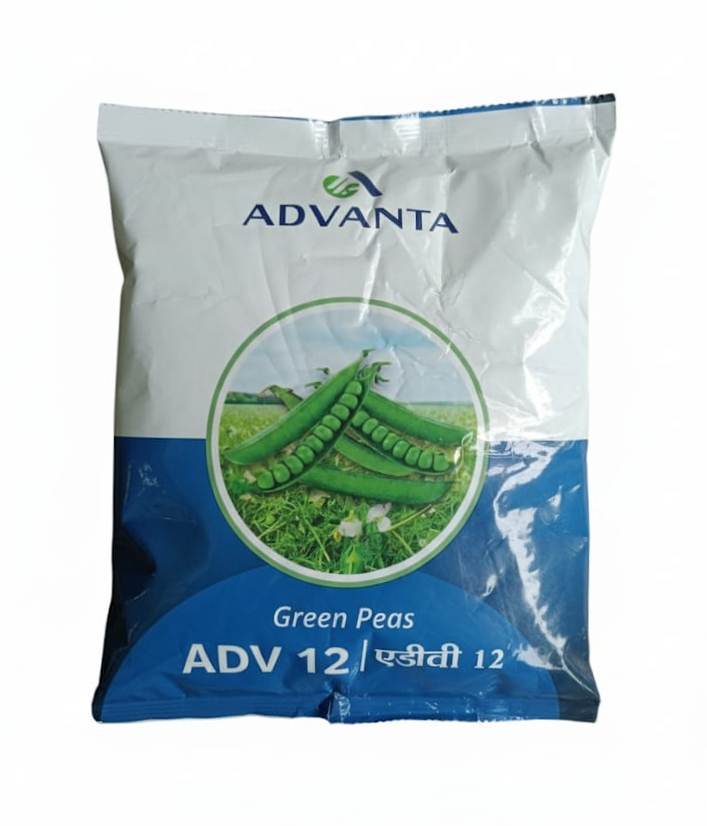 Pea ADV-12- Advanta Seeds