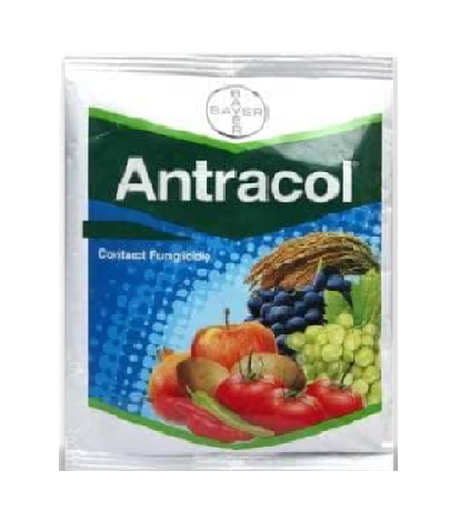Antracol 500gm - Bayer