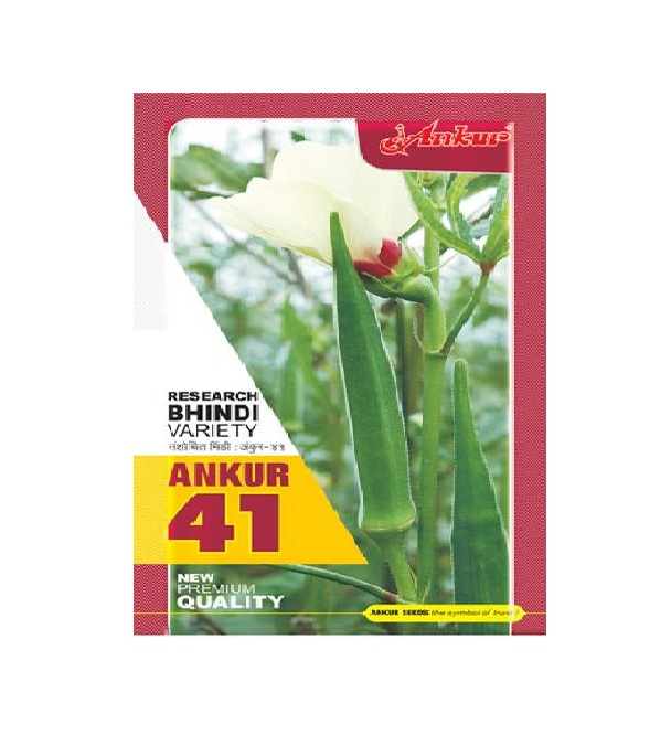 Bhindi Ankur-41 500gm - Ankur (510/kg)