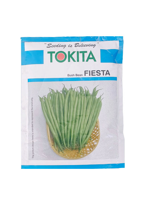 Beans Fiesta 250gm - Tokita