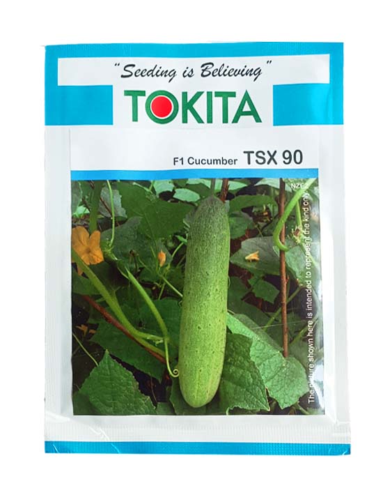 Cucumber F1 TSX-90 10gm - Tokita