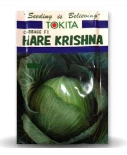 Cabbage F1 Hare Krishna 10gm - Tokita