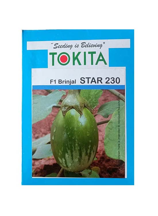 Brinjal F1 Star-230 10gm - Tokita