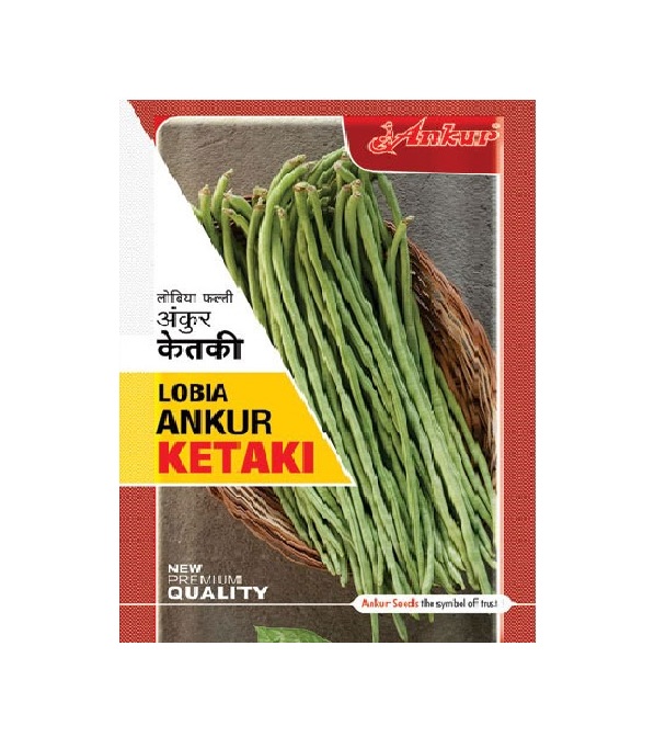 Lobia Ketki 500gm - Ankur
