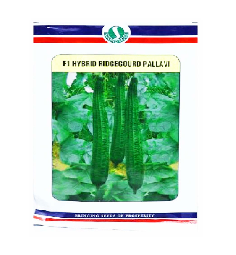 Ridgegourd Pallavi 10gm - Sungro