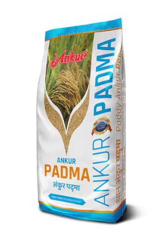 Padma 5kg - Ankur