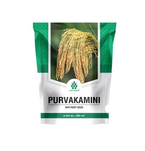 Purva kamini 6kg - Nath