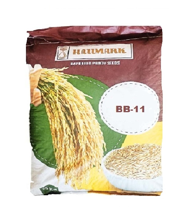 BB-11 25kg - Hallmark