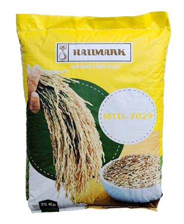 Rajendra Mansuri 25kg - Hallmark