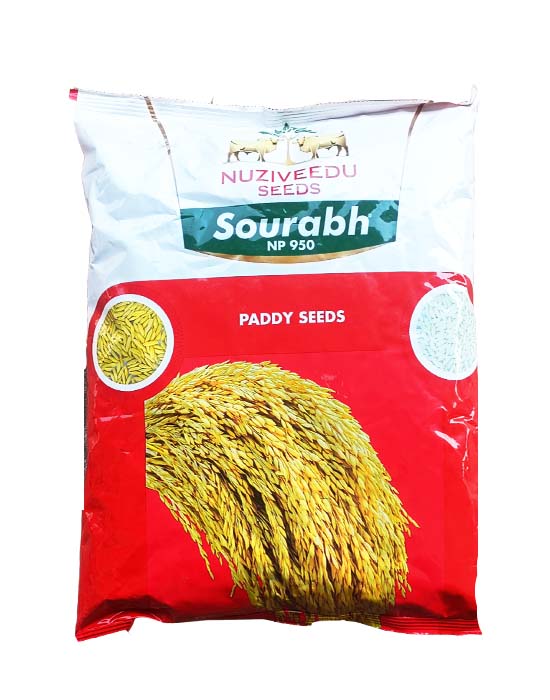 Sourabh 3kg -  Nuziveedu