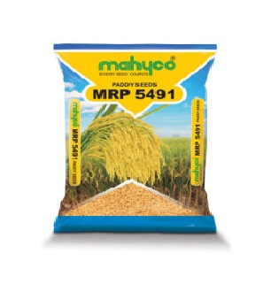  Trivuvan MRP-5491 6kg - Mahyco Seeds