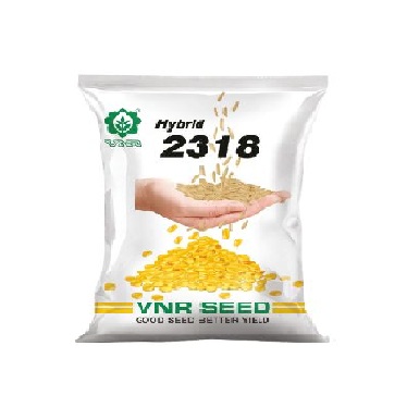 Hybrid 2318 - VNR Seeds
