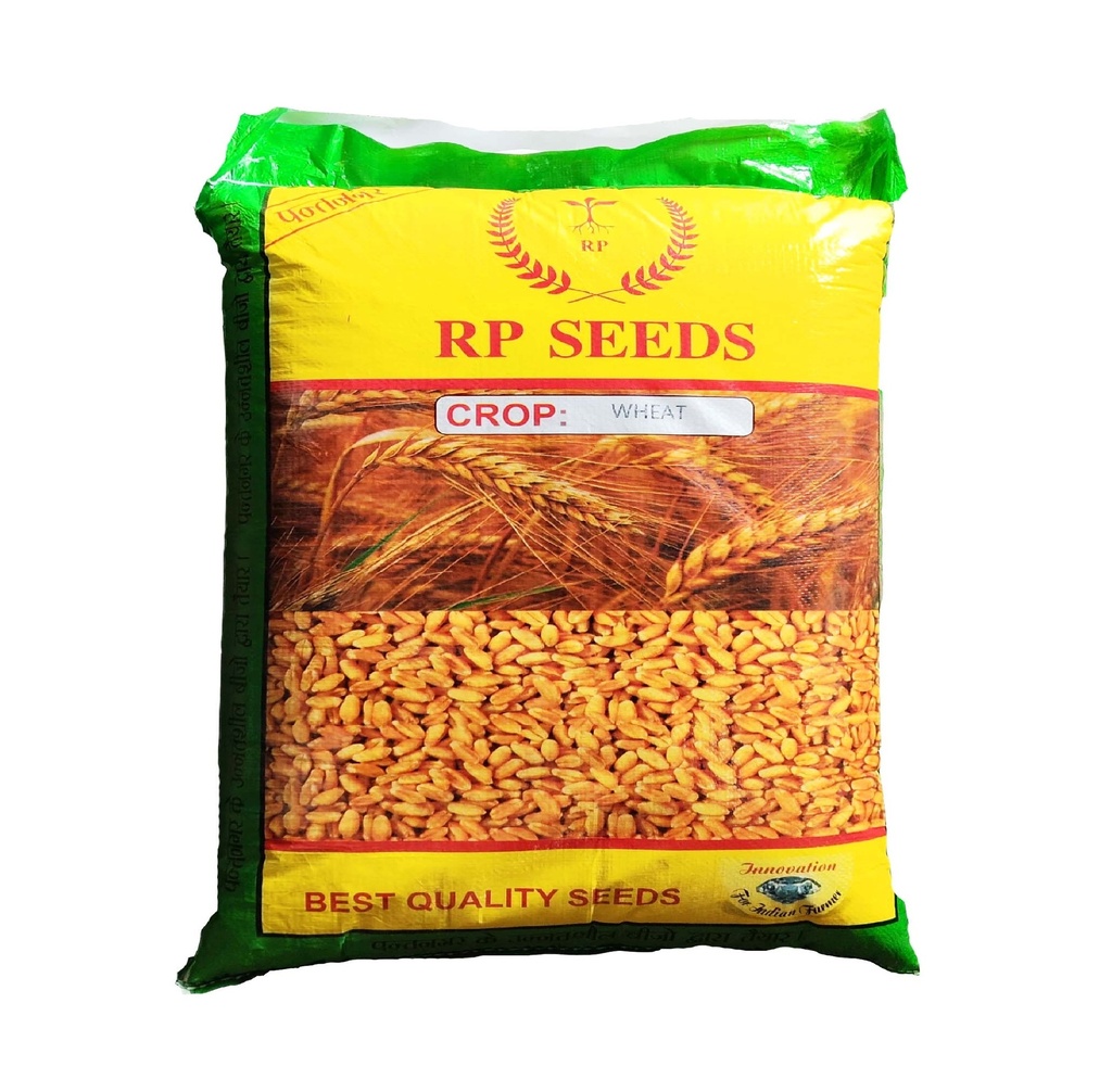 Wheat Seeds - RP Seeds