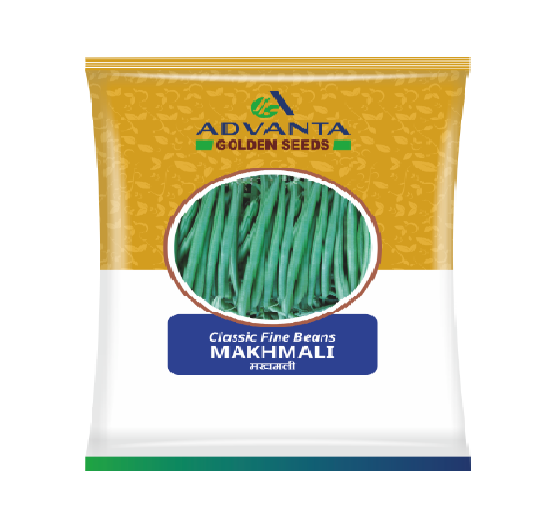 Beans Makhmali 500gm - Advanta