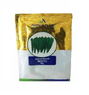 Bhindi Hyb Reetu 100gm - Advanta