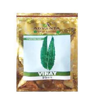Biitergourd Hyb Vinay 10gm - Advanta