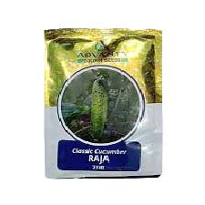 Cucumber Raja 50gm - Advanta