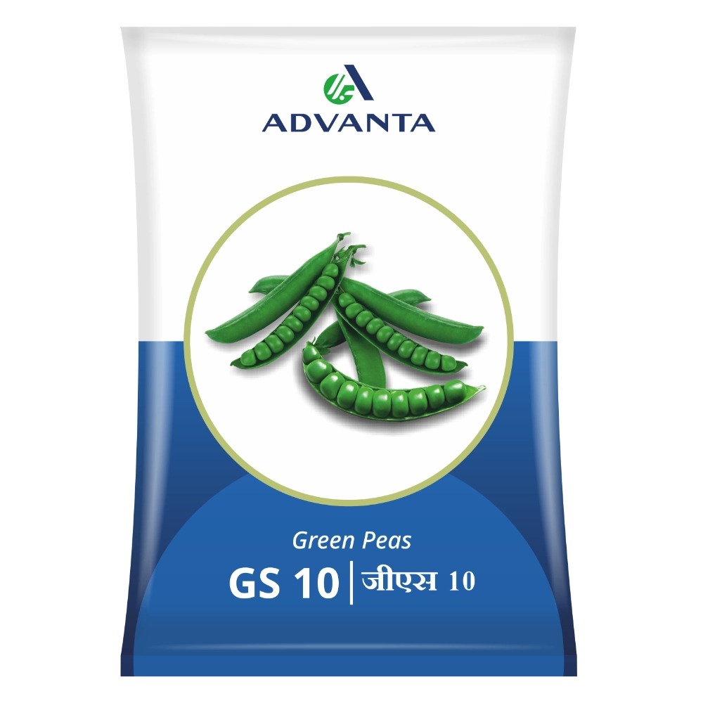 Pea GS-10 1kg - Advanta