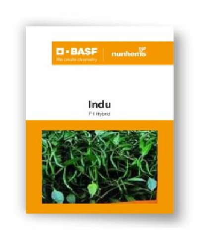 Chilli Indu 10gm - Nunhems