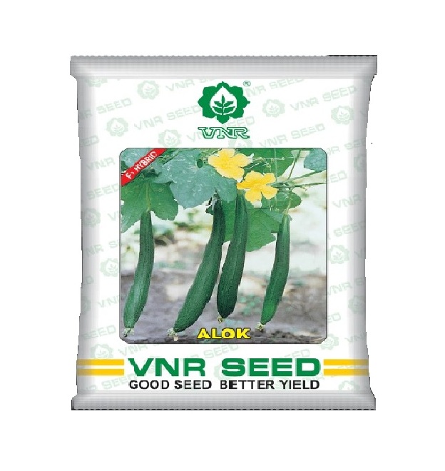 Spongegourd Alok 10gm - VNR 