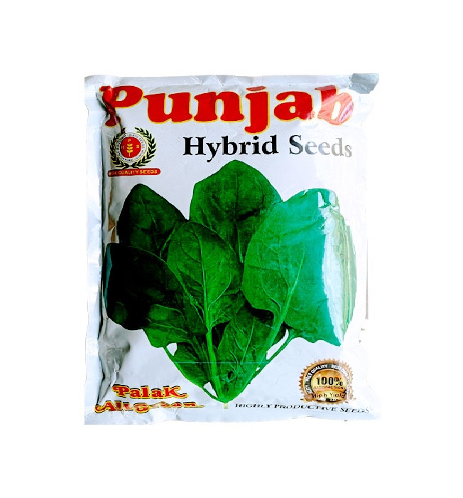 Palak All Green Sadabahar 500gm - Punjab