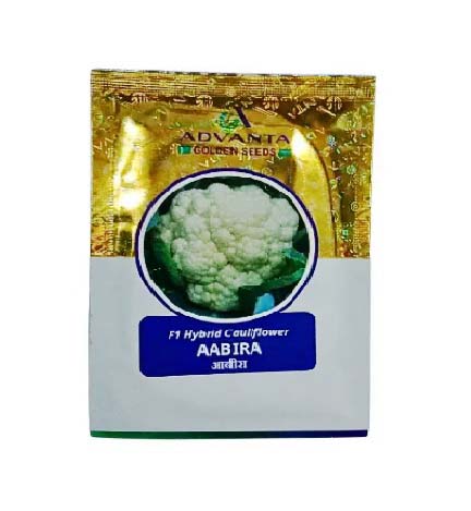 Cauliflower Aabira 10gm - Advanta 