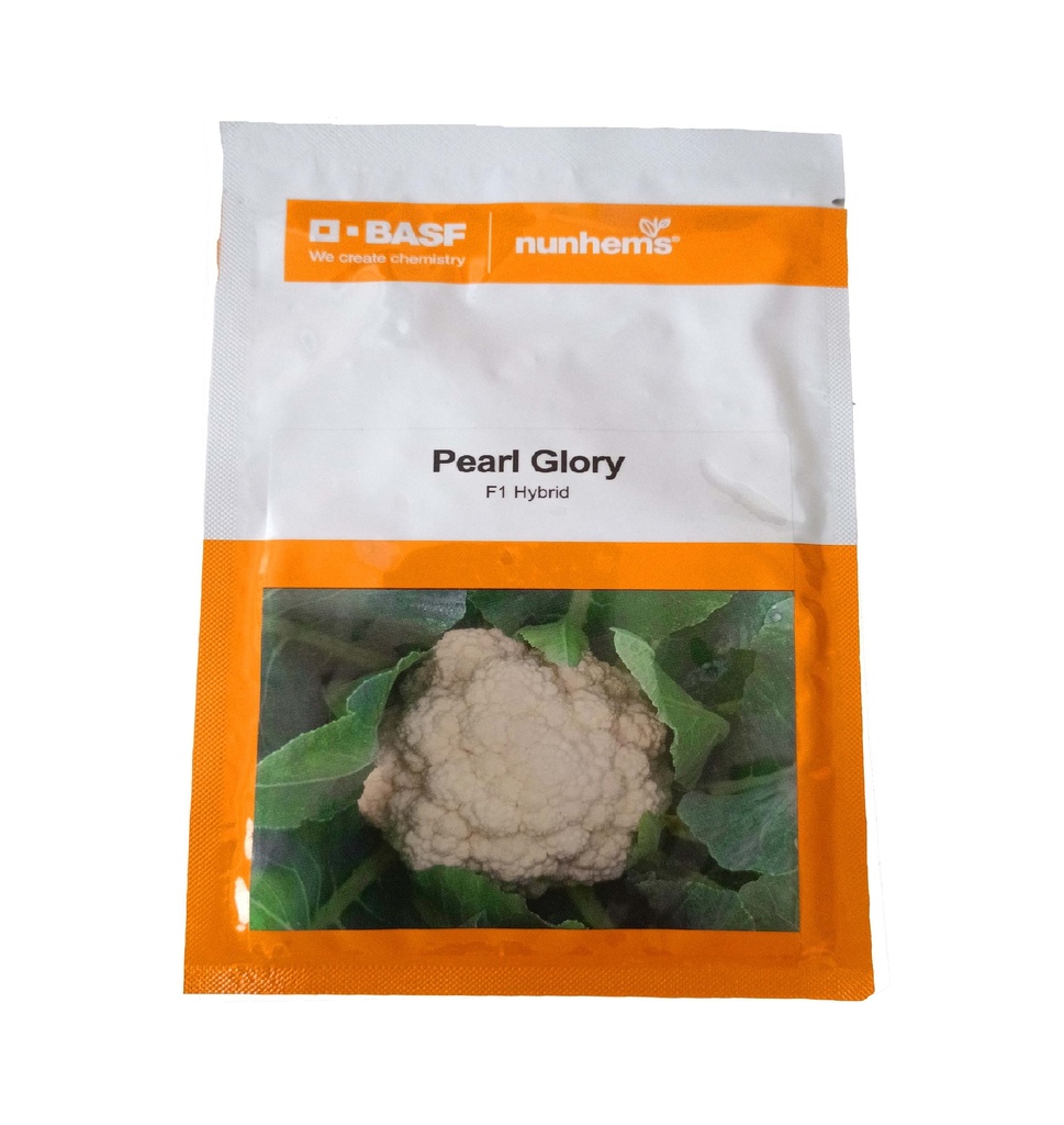 Cauliflower Pearl Glory 2500seeds - Nunhems 