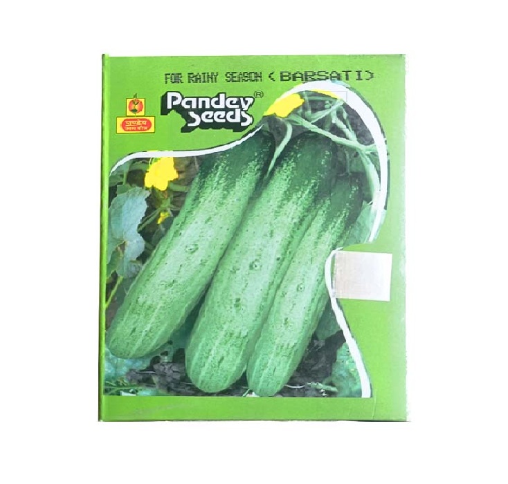 Cucumber Barsati 100gm - Pandey