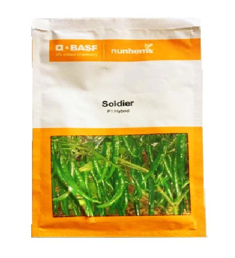 Chilli Soldier 10gm - Nunhems