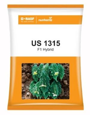 Bittergourd US-1315 100seeds 10gm - Nunhems