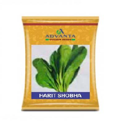 Palak Harit Sobha 500gm - Advanta