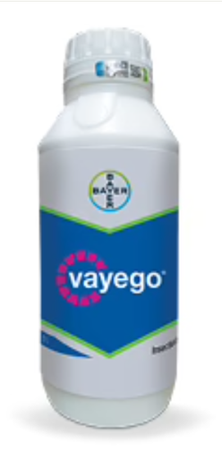 Vayego SC200 50ml - Bayer