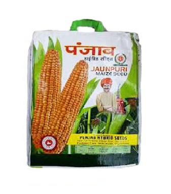 Maize IMP 1kg - Punjab Seeds