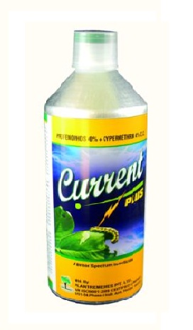 Current Plus 100ml - Plant