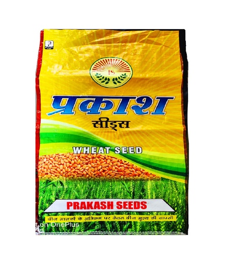 Wheat Seeds - Prakash Seeds