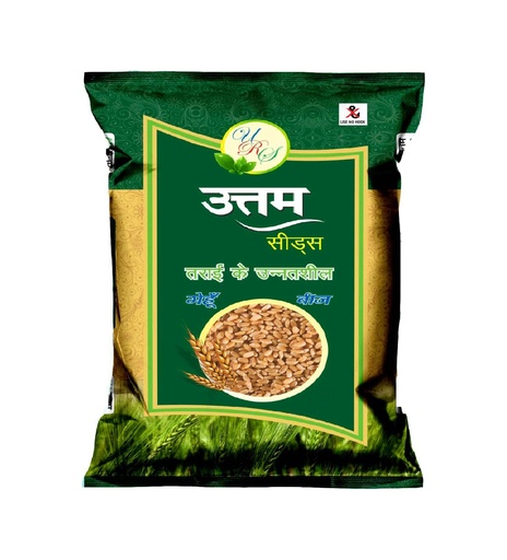 Wheat Seeds - Uttam Seeds
