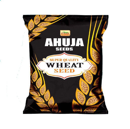 Wheat Seeds - Ahuja Seeds