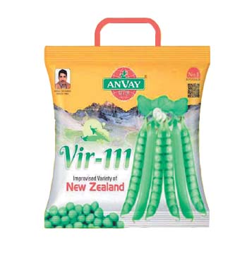 Pea VIR-111 1kg - Anvay Seeds