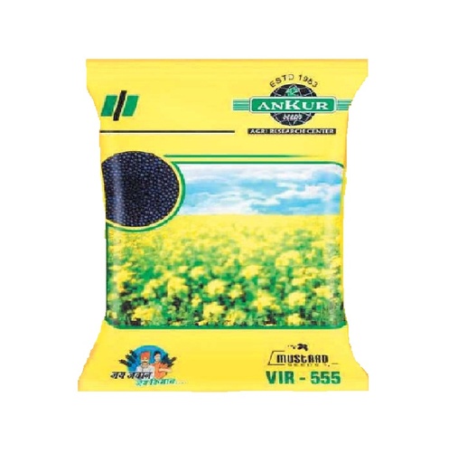 Mustard VIR-555 500gm - Anvay Seeds