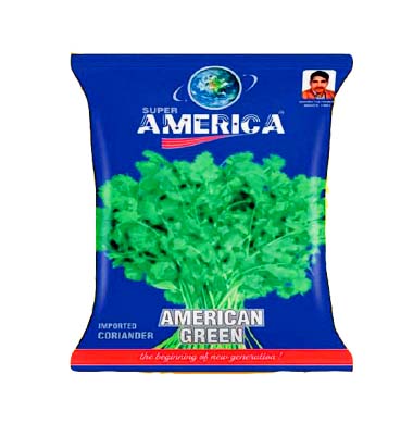 Coriander American Green 500gm - Anvay Seeds