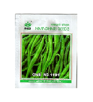 Chilli NS-1101 10gm - Namdhari