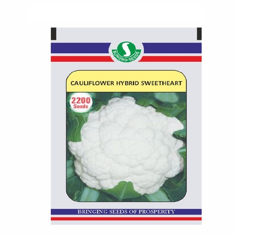 Cauliflower Sweetheart 10gm - Sungro 