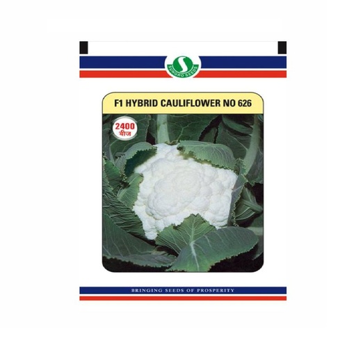 Cauliflower Hyb-626 10gm - Sungro 