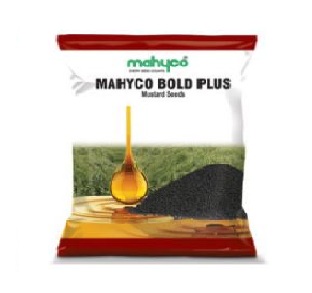 Mustard Bold Plus 1kg - Mahyco 