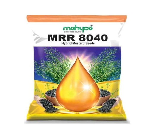 Mustard 8040(Hyb) 500gm - Mahyco 