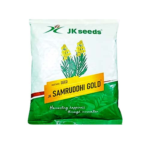 Mustard Samruddhi Gold 1kg - Jk Seeds 
