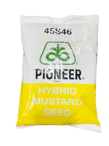 Mustard 45S46 (Hyb) 1kg - Pioneer Seeds