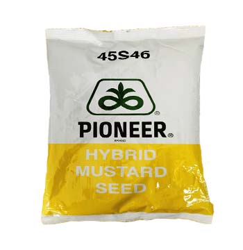 Mustard 45S46 (Hyb) 500gm - Pioneer Seeds