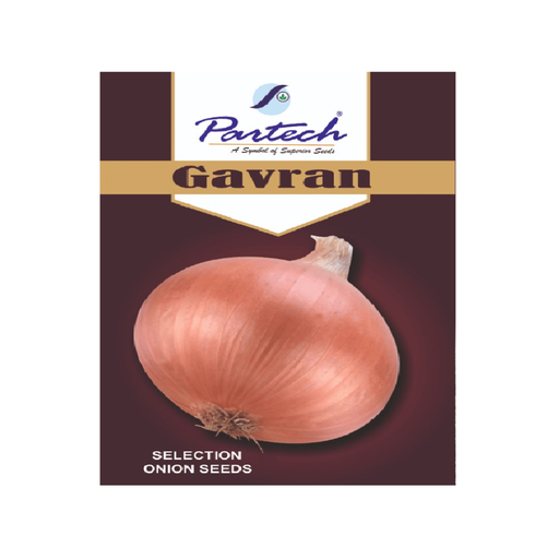 Onion Gauran 500gm - Partech Seeds